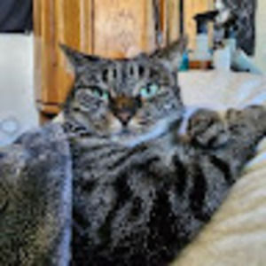 Meet your Posher, Manuel